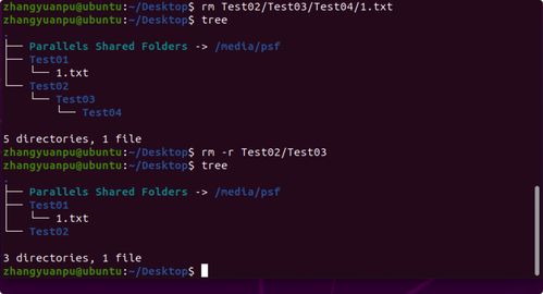 Linux初探 從核心概念到首次啟動